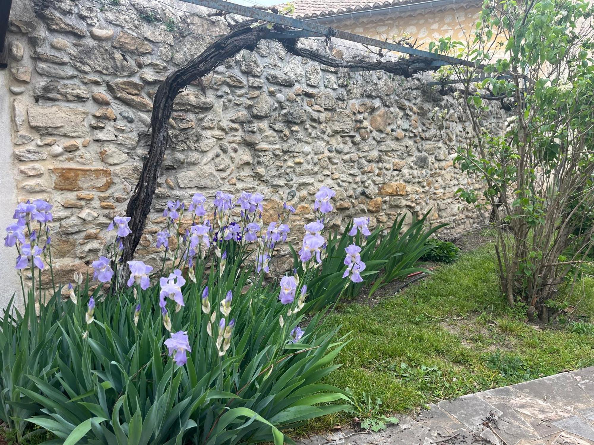 Maison En Provence Lapalud Luaran gambar
